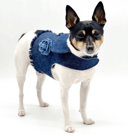 DCNY Harness Vest (size: XXS)