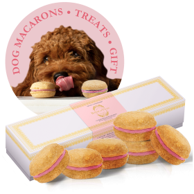 Dog Macarons - Box of 6 (Available in 12 Flavors) (Flavor: Strawberry)