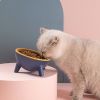 Raised Tilted Elevated Cat Food Bowl Pet Backflow Prevention Water Dish Feeding Bowl for Cats Small Dogs GPCT3388